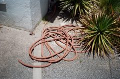 Das Glück liegt auf der Straße – c'est clairette